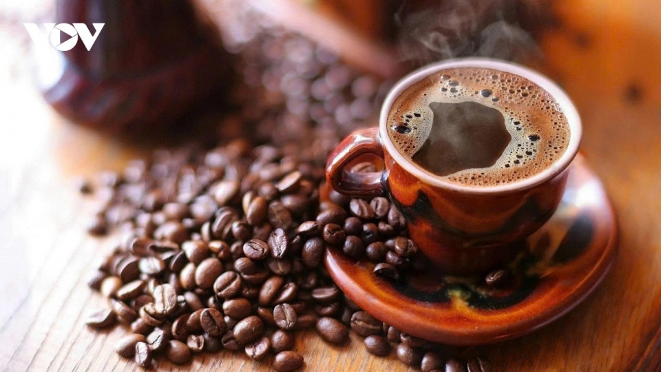 Vietnam’s seven-month coffee exports hit nearly US$6 billion, set new record